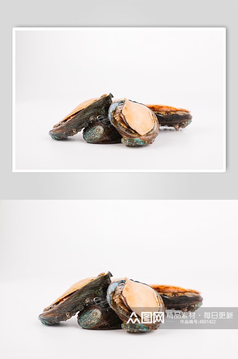 海货生鲜海产品水产海鲜鲍鱼摄影图片素材