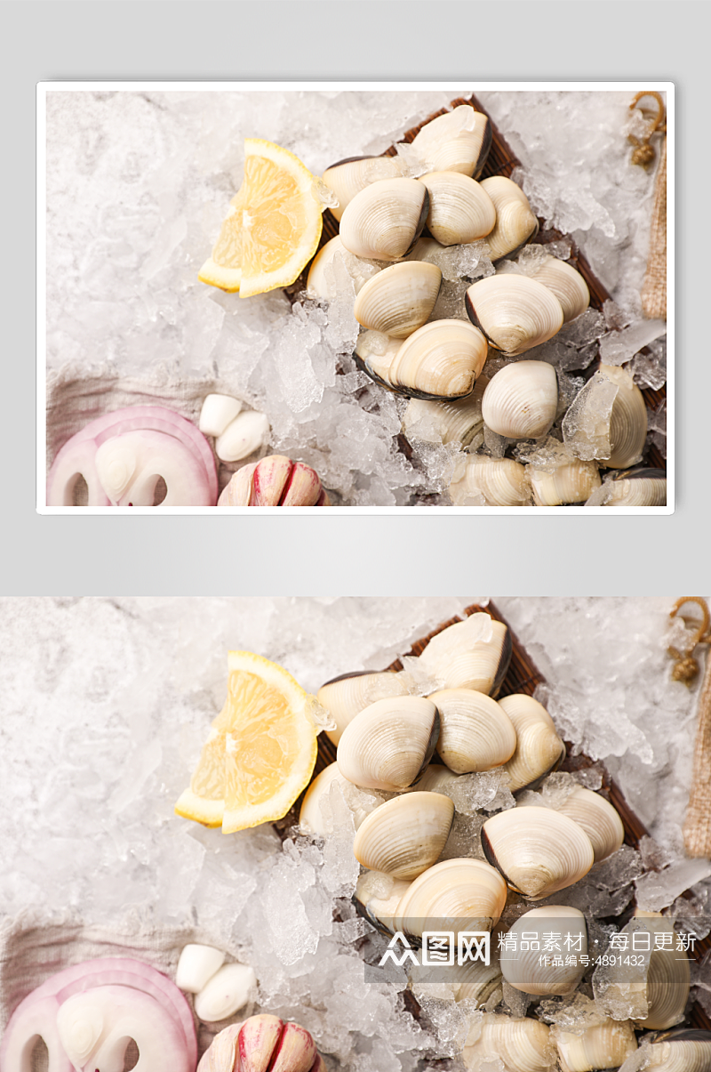 新鲜美味蛤蜊生鲜海鲜美食摄影图片素材