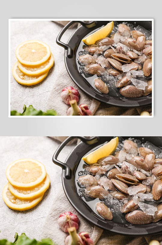 新鲜海产蛤蜊生鲜海鲜美食摄影图片