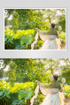 夏季荷花池中汉服女性人物摄影图片