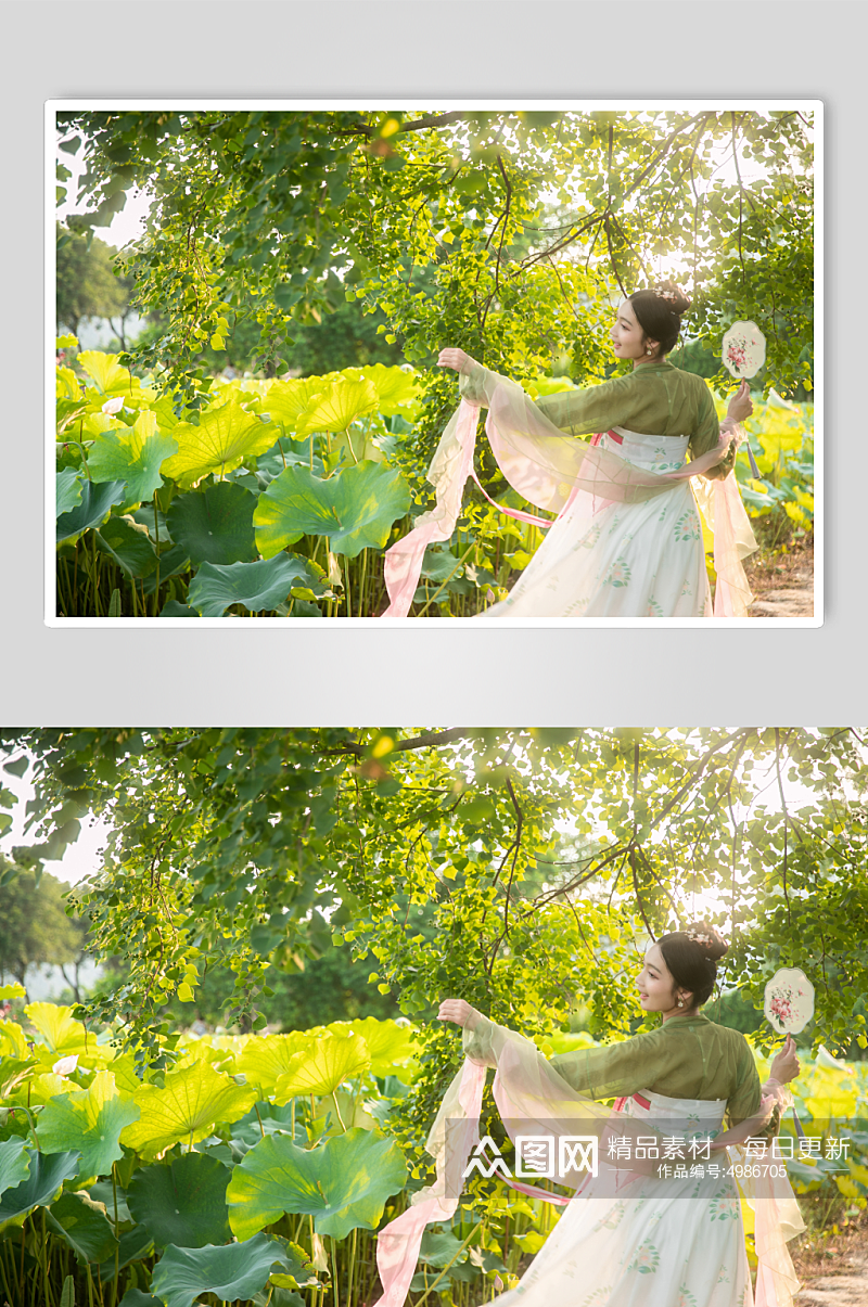 夏季荷花池中汉服女性人物摄影图片素材