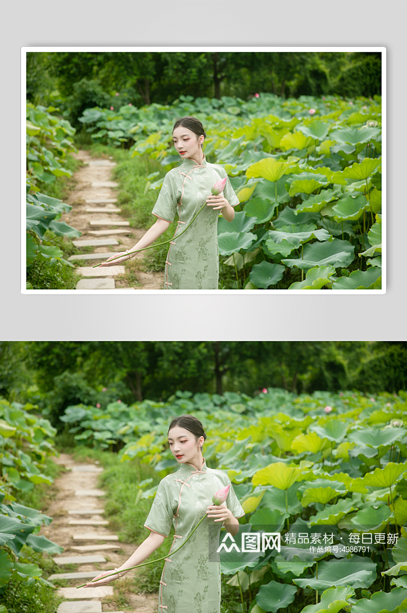 夏季赏荷花旗袍女人人物摄影图片素材