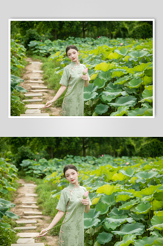 夏季赏荷花旗袍女人人物摄影图片