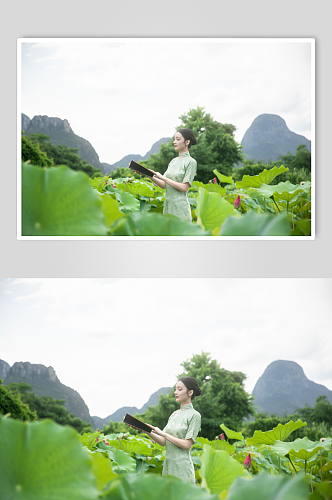 夏季赏荷花旗袍女人人物摄影图片