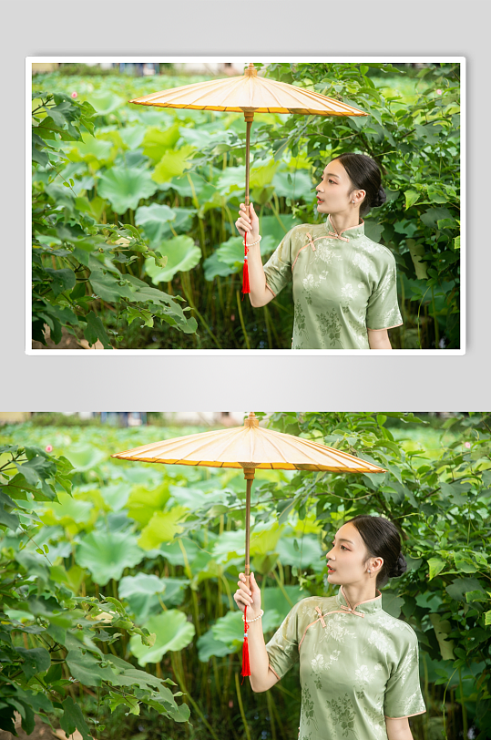 夏季赏荷花旗袍女人人物摄影图片