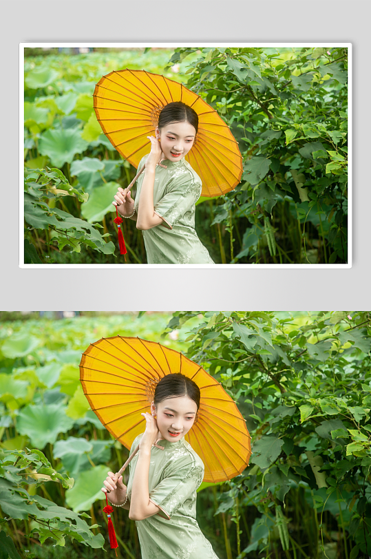 夏季赏荷花旗袍女人人物摄影图片