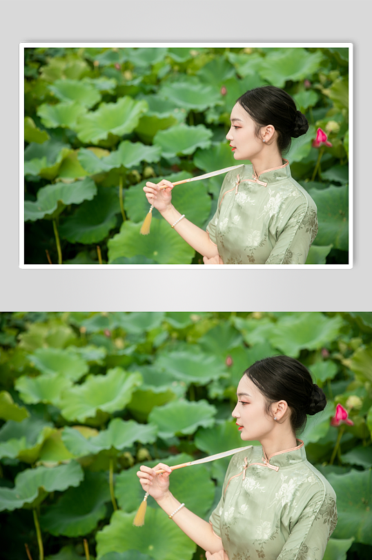 夏季赏荷花旗袍女人人物摄影图片-众图网