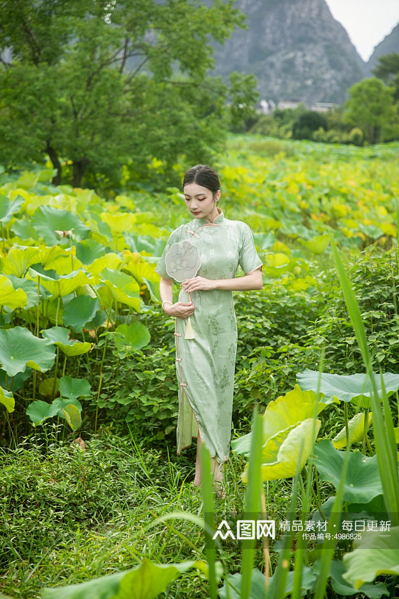 夏季赏荷花旗袍女人人物摄影图片素材