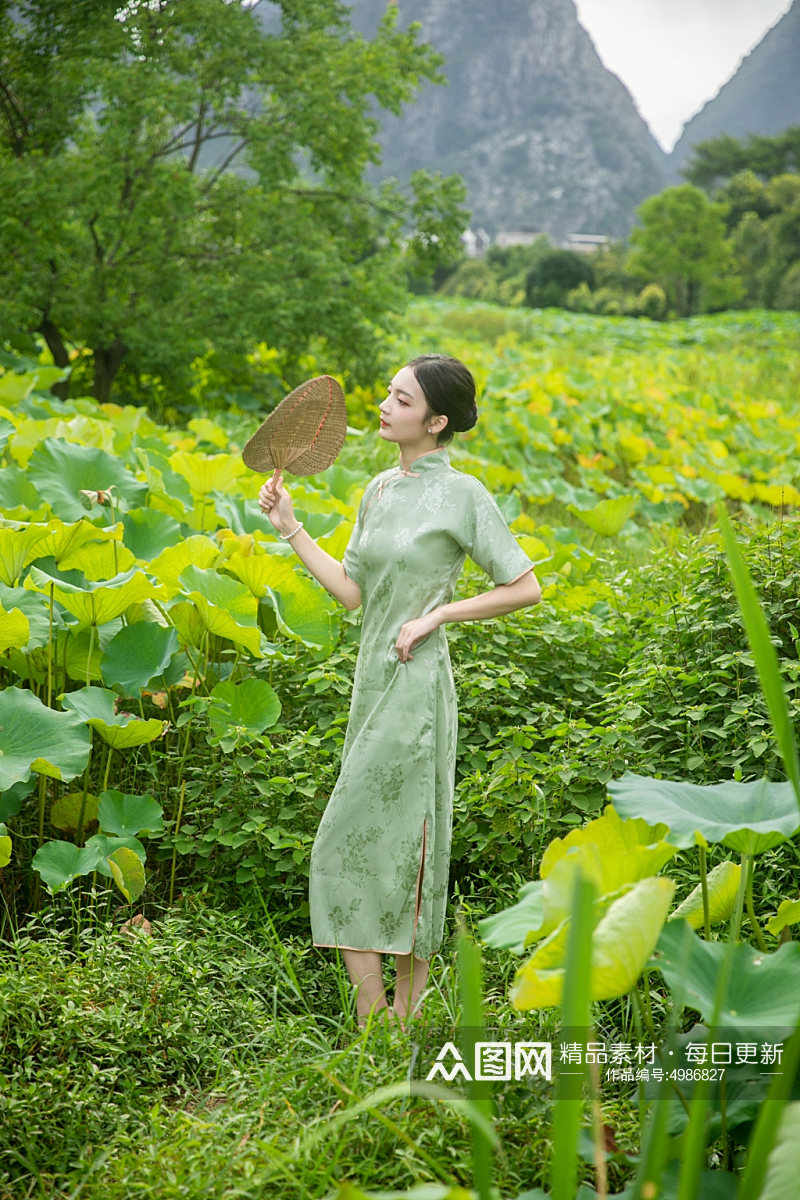 夏季赏荷花旗袍女人人物摄影图片素材