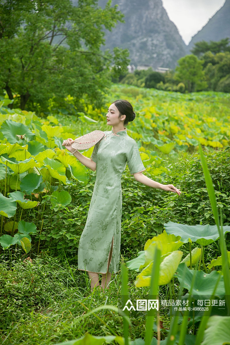 夏季赏荷花旗袍女人人物摄影图片素材