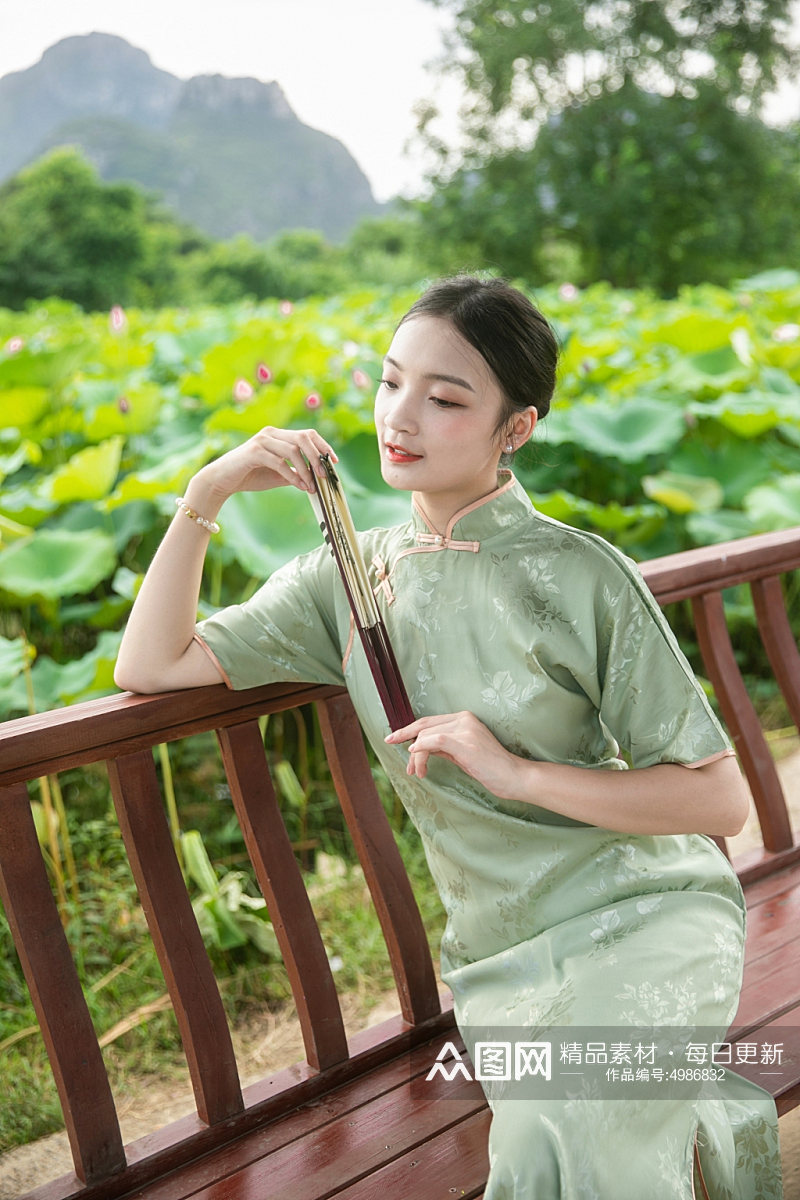 夏季赏荷花旗袍女人人物摄影图片素材