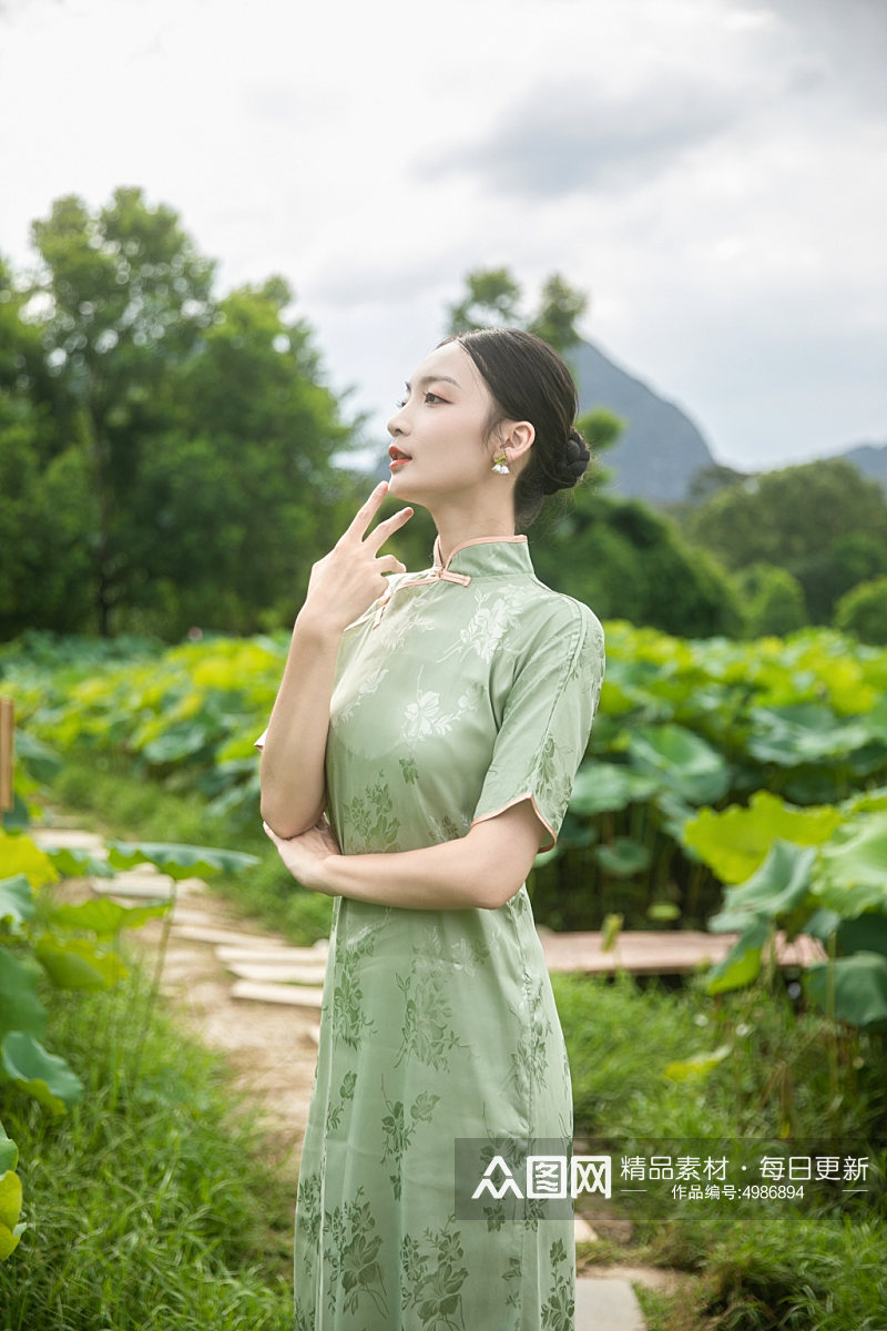 夏季荷花池中旗袍人物摄影图片素材