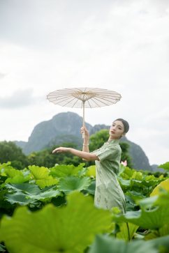 夏季荷花池中旗袍人物摄影图片