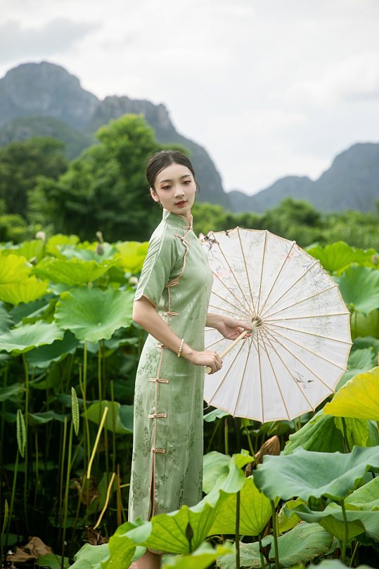 夏季荷花池中旗袍人物摄影图片