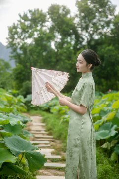 夏季荷花池中旗袍人物摄影图片