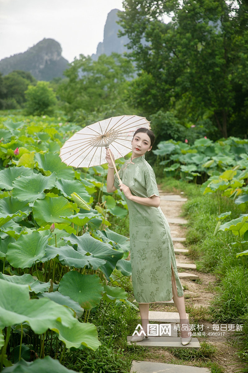 夏季荷花池中旗袍人物摄影图片素材