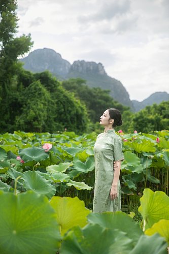 夏季荷花池中旗袍人物摄影图片