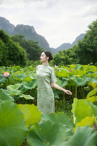 夏季荷花池中旗袍人物摄影图片