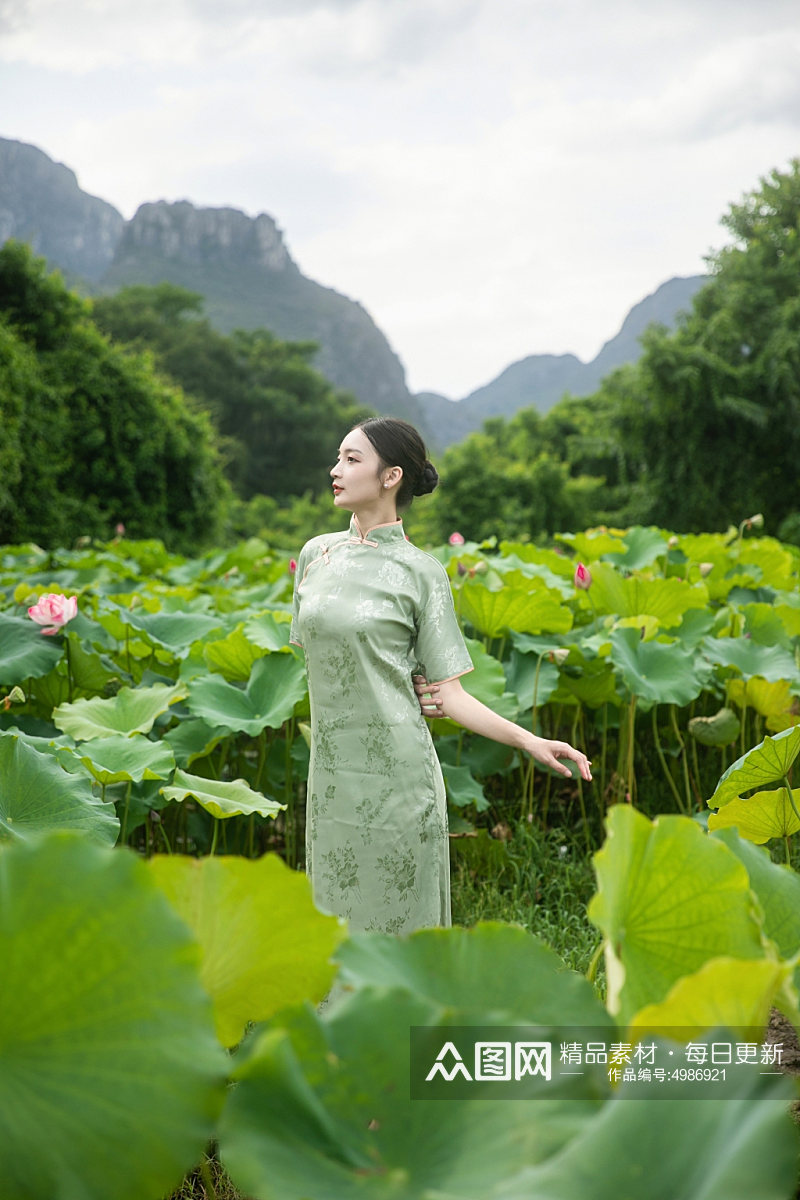 夏季荷花池中旗袍人物摄影图片素材