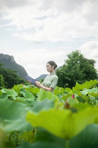 夏季荷花池中旗袍人物摄影图片