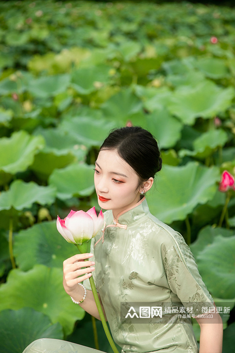 夏季荷花池中旗袍人物摄影图片素材