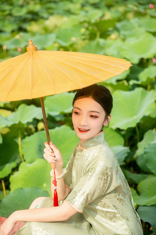 夏季荷花池中旗袍人物摄影图片