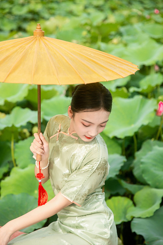 夏季荷花池中旗袍人物摄影图片