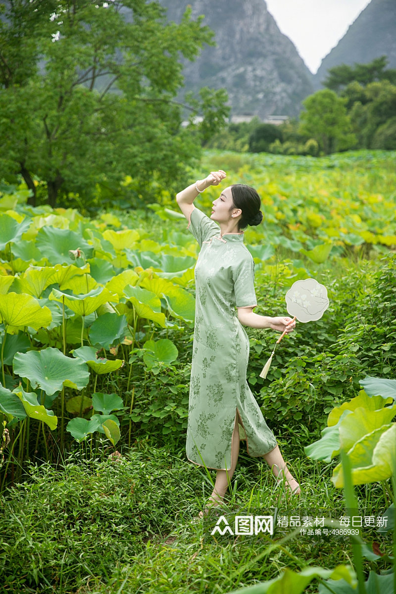 夏季荷花池中旗袍人物摄影图片素材