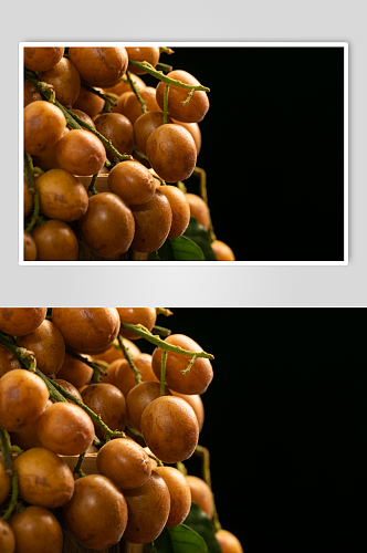 果香四溢黄皮果水果摄影图片