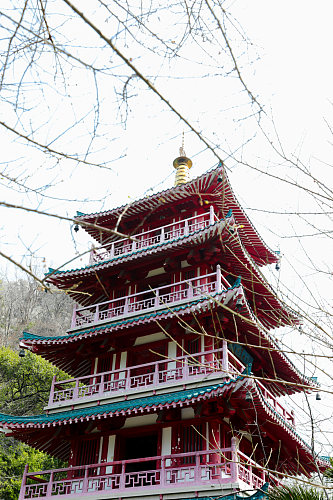 中国风古建筑花鸟市场摄影图片