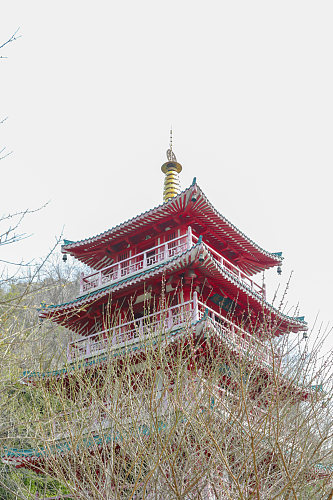 中国风古建筑花鸟市场摄影图片