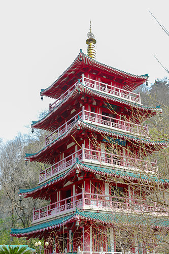 中国风古建筑花鸟市场摄影图片