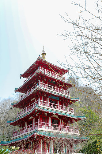 中国风古建筑花鸟市场摄影图片