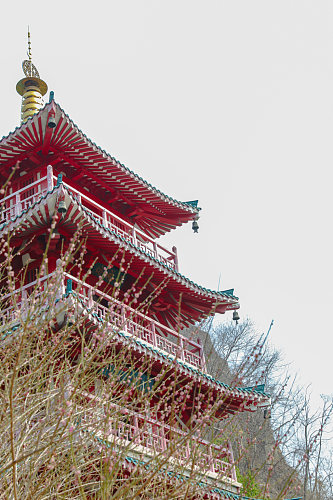 中国风古建筑花鸟市场摄影图片