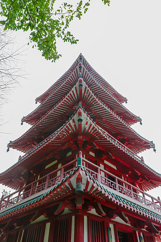 中国风古建筑花鸟市场摄影图片