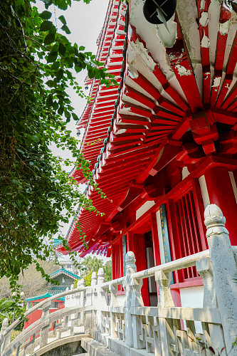 中国风古建筑花鸟市场摄影图片