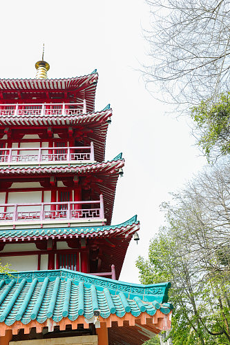 中国风古建筑花鸟市场摄影图片