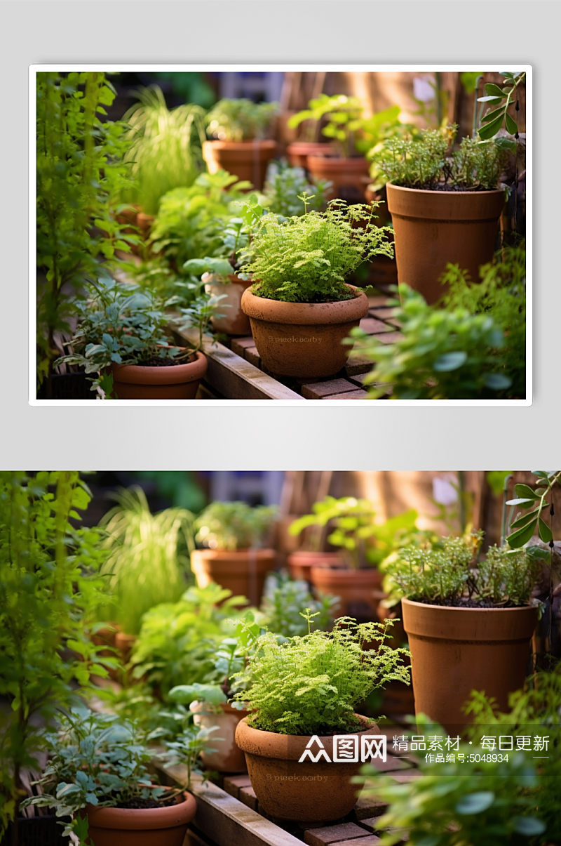 AI数字艺术小花园绿植盆栽摄影图片素材