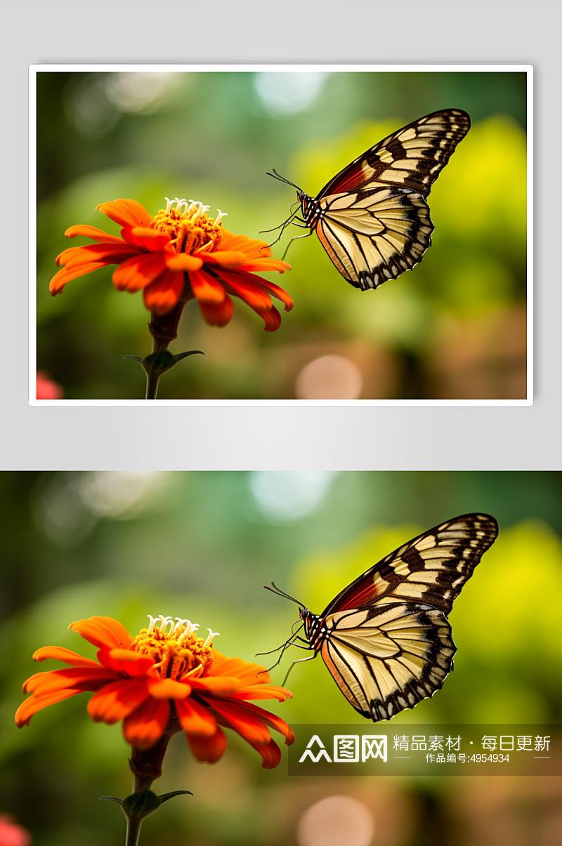 AI数字艺术清新蝴蝶昆虫摄影图片素材