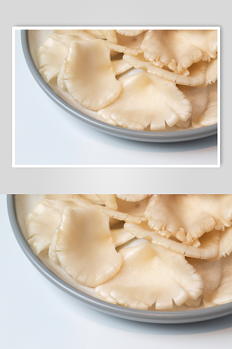 秀珍菇火锅菜品美食摄影图片