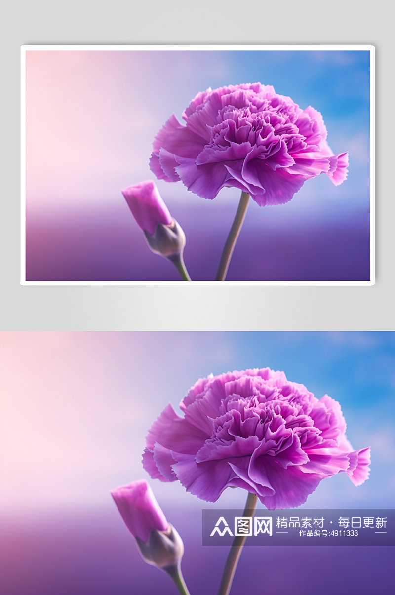 AI数字艺术高清紫色康乃馨花卉摄影图片素材