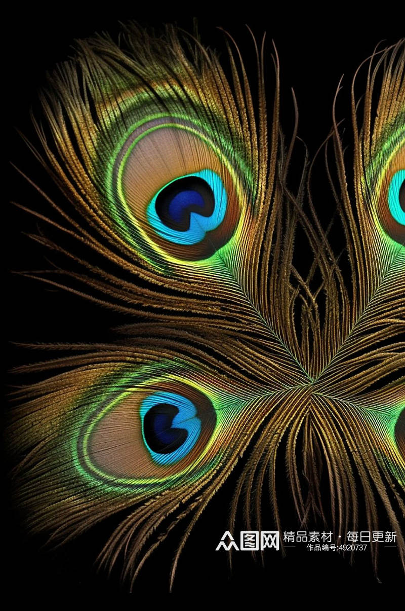 AI数字艺术创意孔雀羽毛纹理图片素材