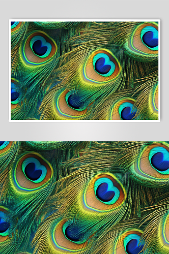AI数字艺术高清孔雀羽毛纹理图片