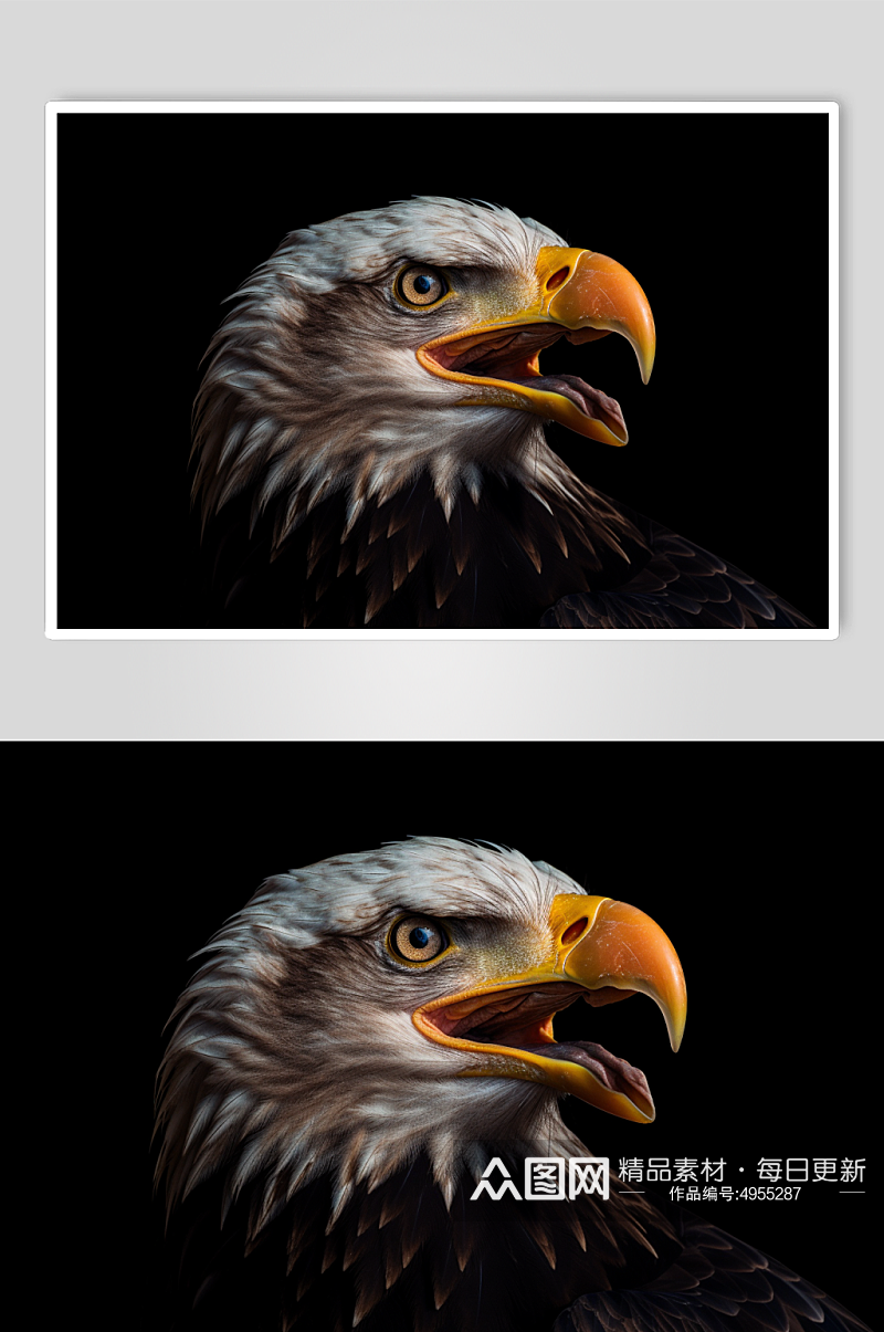 AI数字艺术高清老鹰动物鸟飞翔摄影图片素材