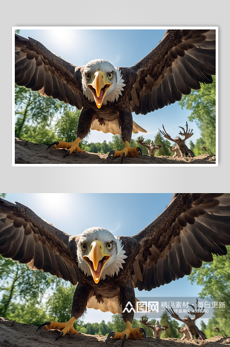 AI数字艺术高清老鹰动物鸟飞翔摄影图片素材