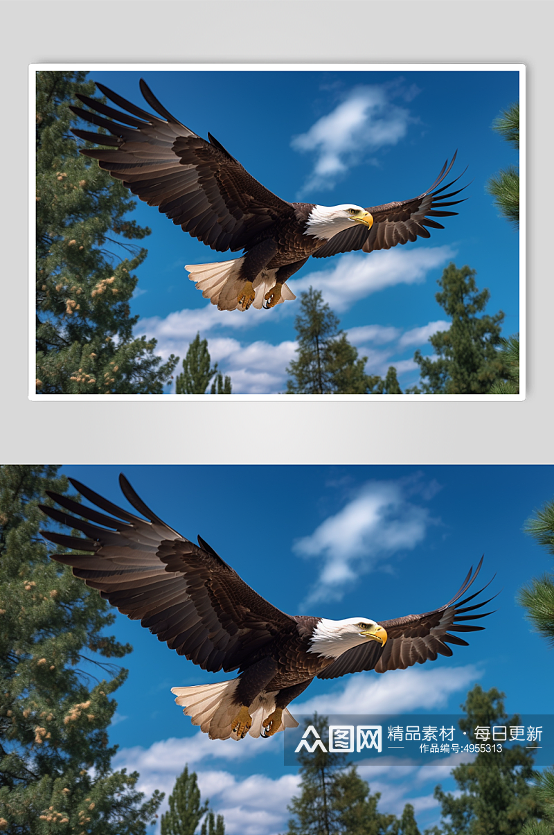 AI数字艺术超清老鹰动物鸟飞翔摄影图片素材