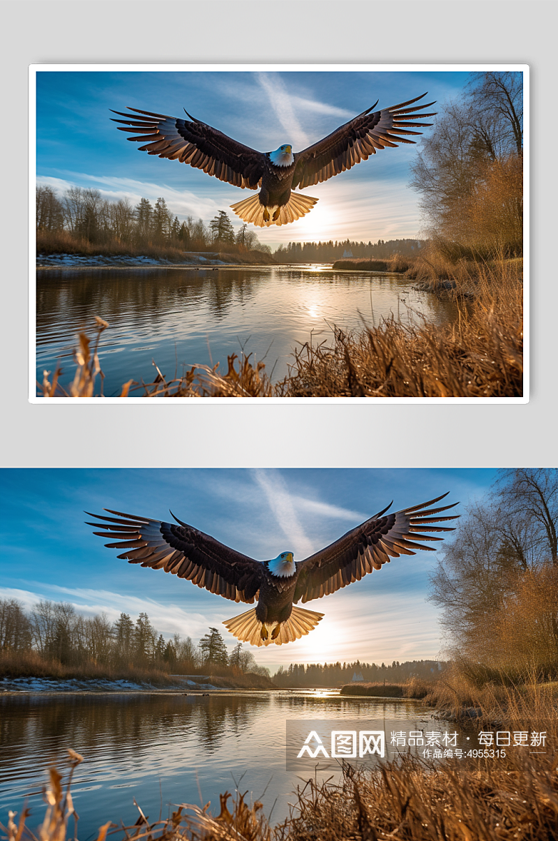 AI数字艺术超清老鹰动物鸟飞翔摄影图片素材