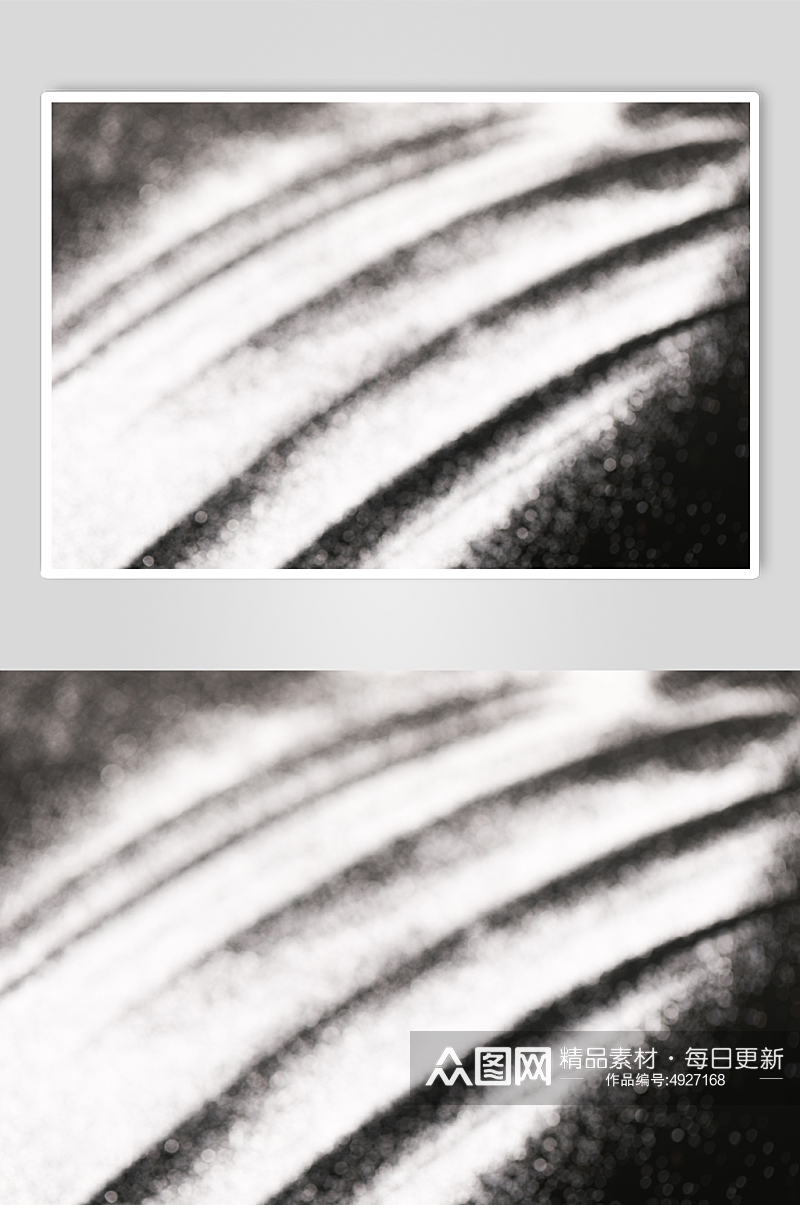 黑色银色闪粉亮片质感纹理背景摄影图片素材