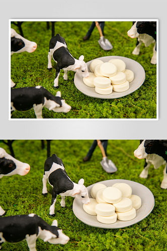 香甜奶酪棒牛奶棒零食摄影图片
