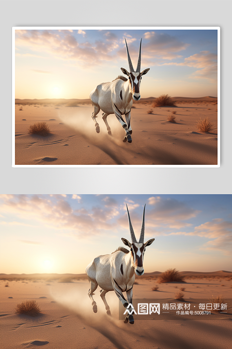 AI数字羚羊动物摄影图素材